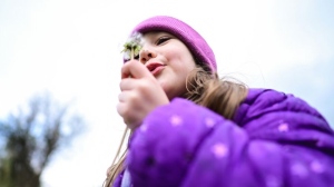 Пролетни температури и силен вятър: Какво време ни очаква през уикенда