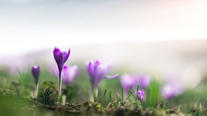 Какво време ни очаква през март: Температури от минус 7 до 26 градуса