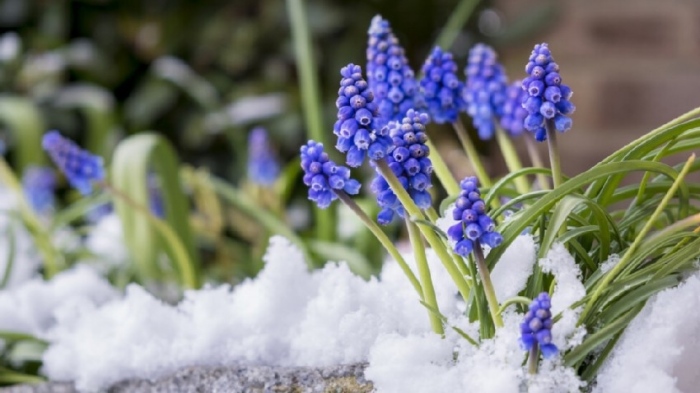 Мъгли, слънце и оскъдни валежи до средата на март