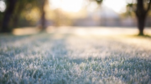 Предстои дълъг период с усещане за ранна пролет