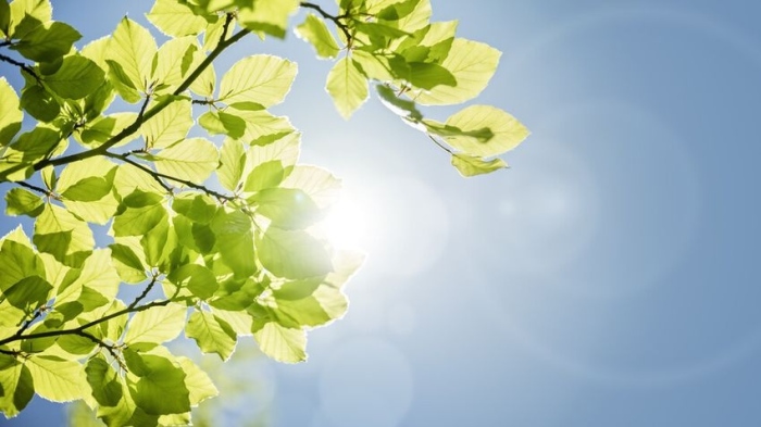 Приветлив уикенд с пролетно време