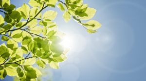 Поредицата слънчеви дни продължава