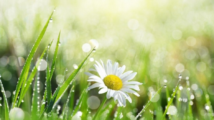 С какво време ще посрещнем астрономическата пролет