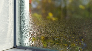 Студ или слънце: Какво време ни очаква около Великден