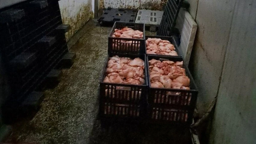 Унищожават 10 тона продукция на месокомбинат в Свищов