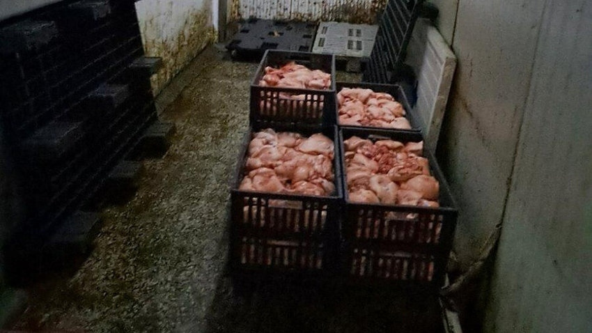 Унищожават 10 тона продукция на месокомбинат в Свищов