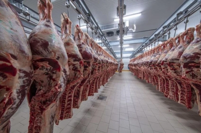 Здравен риск: Втора незаконна кланица в Дебелец с 600 кг опасно месо