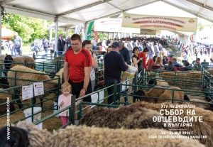 Десетки породи животни, зрелищни конни демонстрации и фермерски състезания на Националния събор на овцевъдите в България