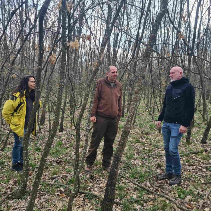 Напредва изпълнението на дейностите по проекта за подобряване състоянието на 81 000 дка гори в НАТУРА 2000 в Централна Северна България