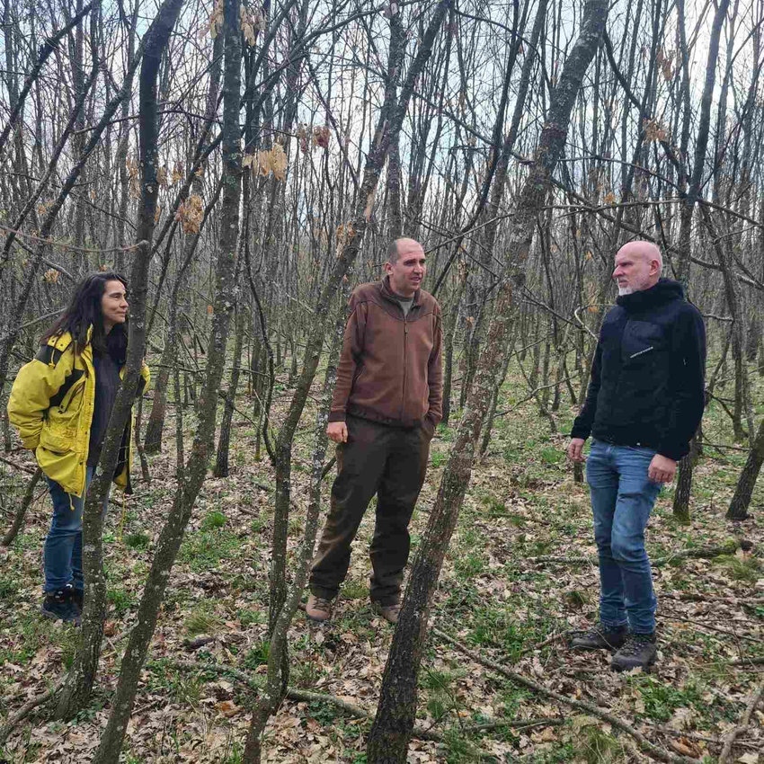 Напредва изпълнението на дейностите по проекта за подобряване състоянието на 81 000 дка гори в НАТУРА 2000 в Централна Северна България