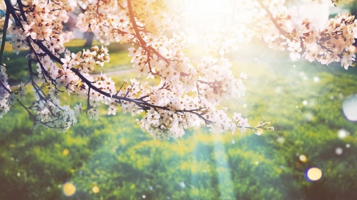 Времето в изборния ден: Слънчево до обяд, температурите ще са до 22°