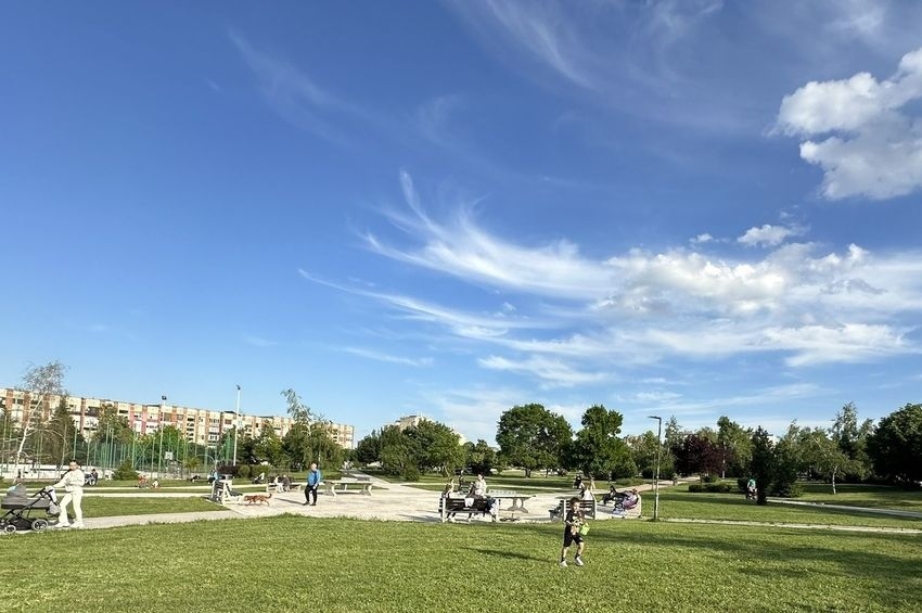 Обработка на зелените площи срещу кърлежи и бълхи предстои в понеделник, 27 април