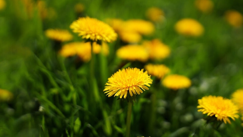 До 25 градуса през почивните дни