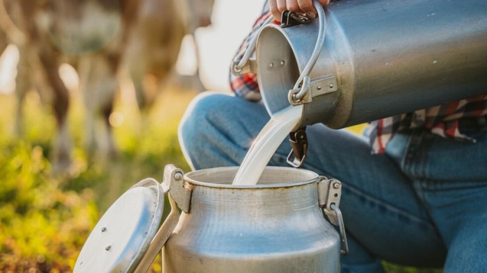 БАБХ въвежда пълен контрол върху вносното мляко