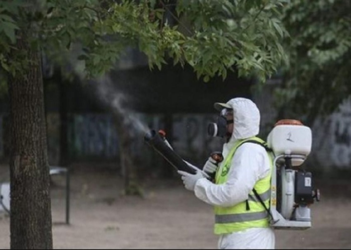 Областният управител изиска доклад от общините за мерките за борба с комарите