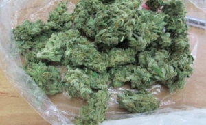 Голямо количество дрога иззеха в свищовско 