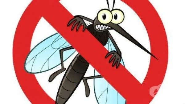 На 29 май в Свищов ще се извърши наземно третиране против комари
