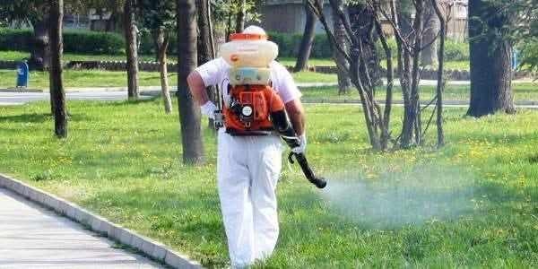 В Лясковец предстои третата обработка срещу бълхи и кърлежи