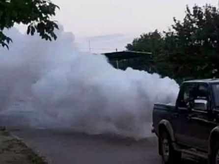 На 24 август в община Лясковец предстои поредна обработка против комари