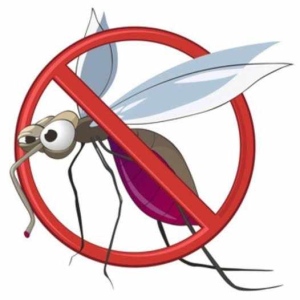 Поредната обработка против комари предстои в община Лясковец